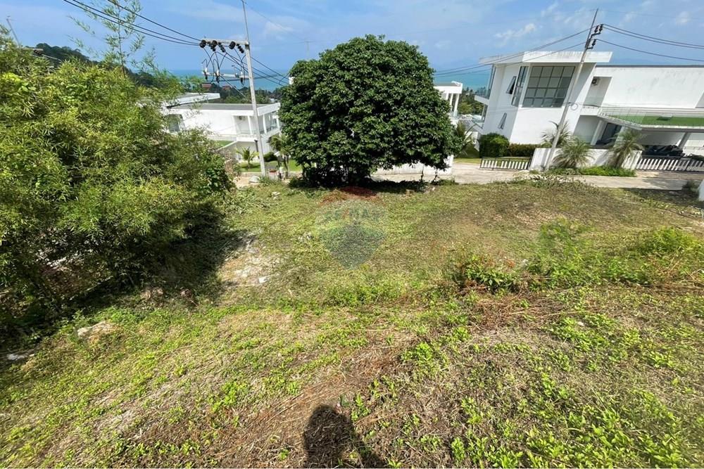 Land - Residential - For Sale - Koh Samui, Surat Thani - 2.jpeg - 920121001-3043