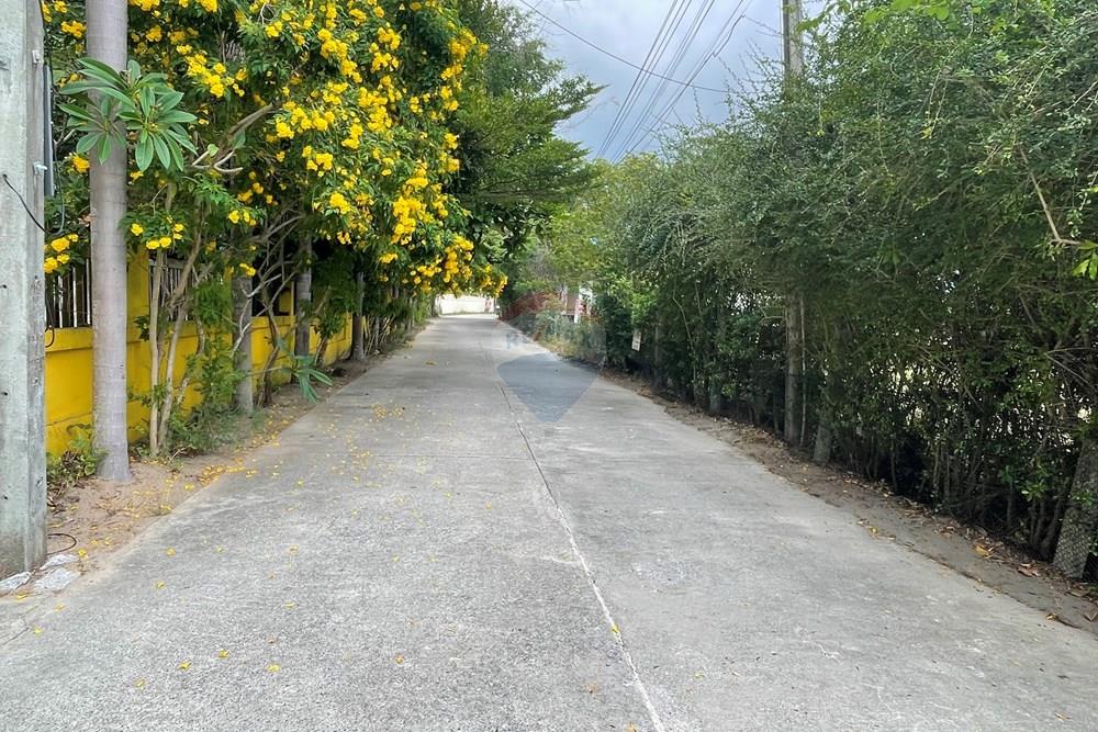 Land - Residential - For Sale - Koh Samui, Surat Thani - IMG_4544.jpeg - 920121079-39