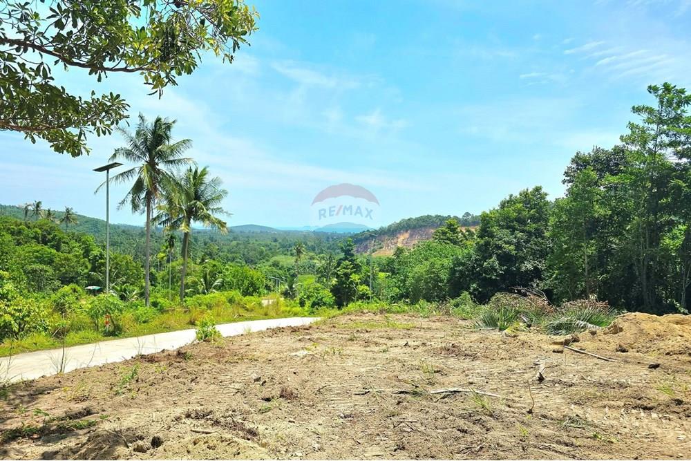Land - Residential - For Sale - Koh Samui, Surat Thani - 005.jpg - 920121018-306