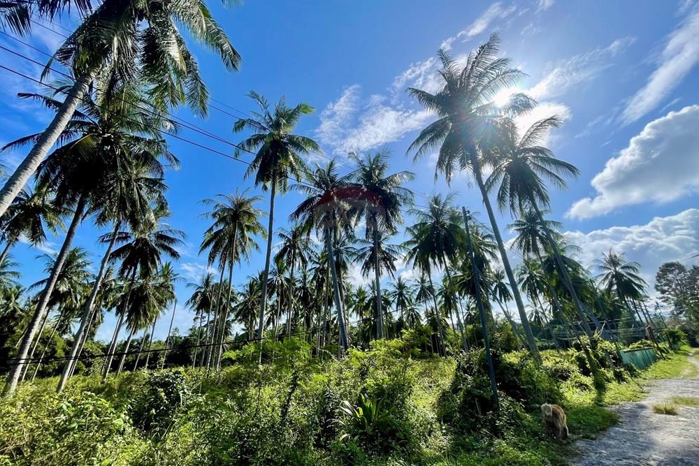 Single House - For Sale - Koh Samui, Surat Thani - IMG_9493.jpeg - 920121068-86