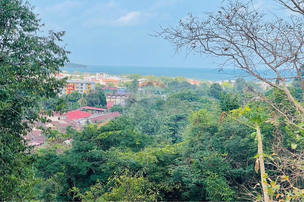 Land - Residential - For Rent/Lease - Koh Samui, Surat Thani - IMG_5792.jpeg - 920121079-45