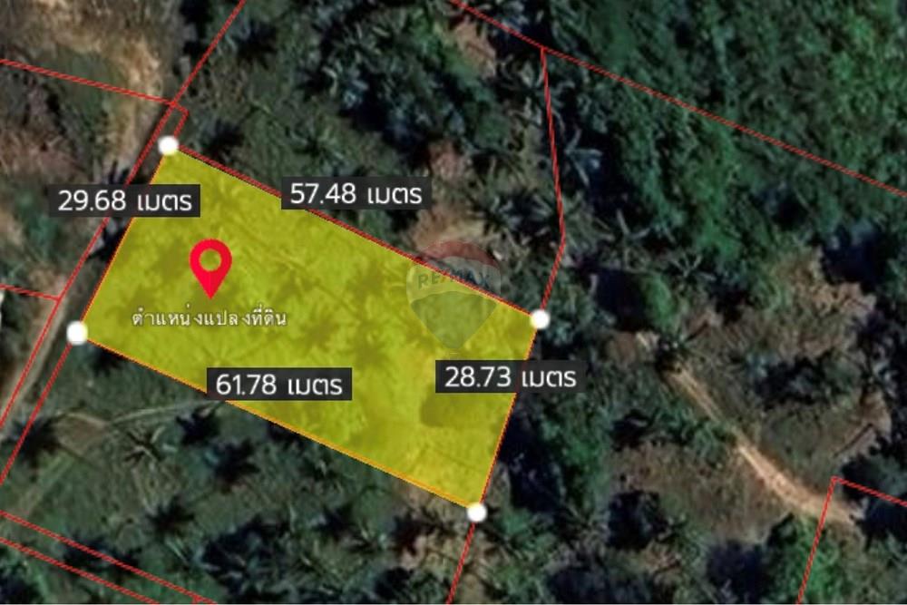 Land - Residential - For Sale - Koh Samui, Surat Thani - Image 9-4-2569 BE at 17.54.jpeg - 920121088-20