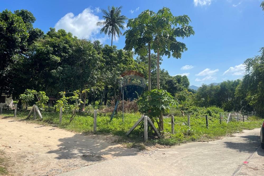Land - Residential - For Sale - Koh Samui, Surat Thani - IMG_2050.jpeg - 920121079-10
