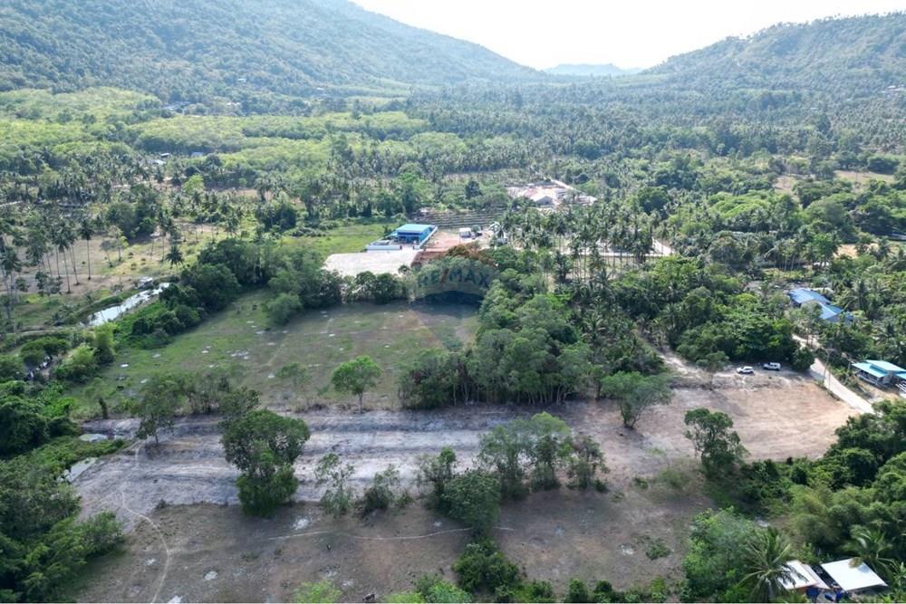 Land - Residential - For Sale - Koh Samui, Surat Thani - 655565_0.jpg - 920121075-106