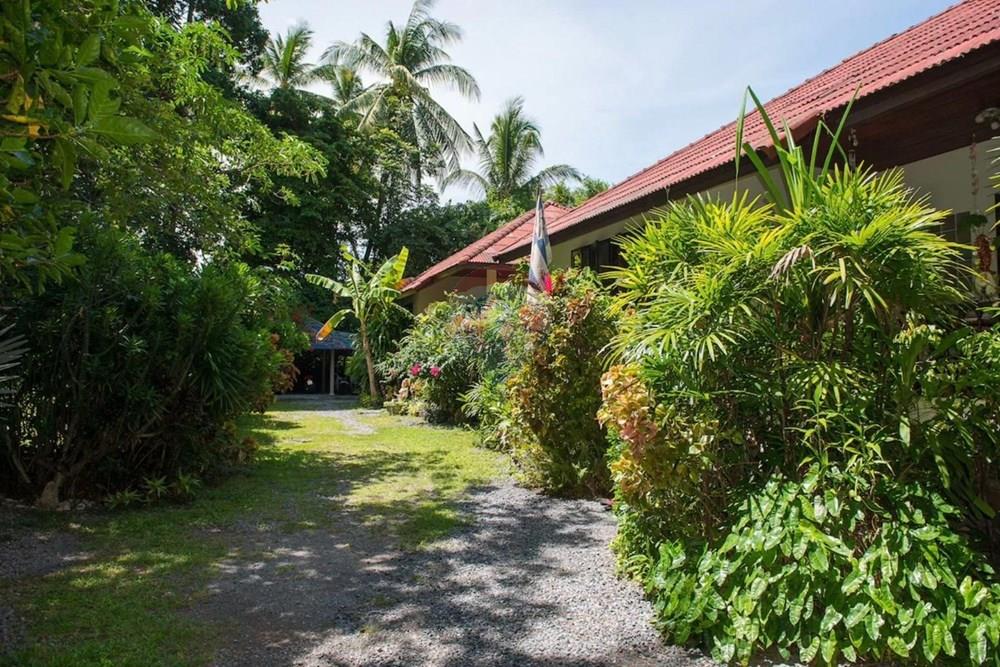 Land - Residential - For Sale - Koh Samui, Surat Thani - IMG_8949.JPG - 920121088-11