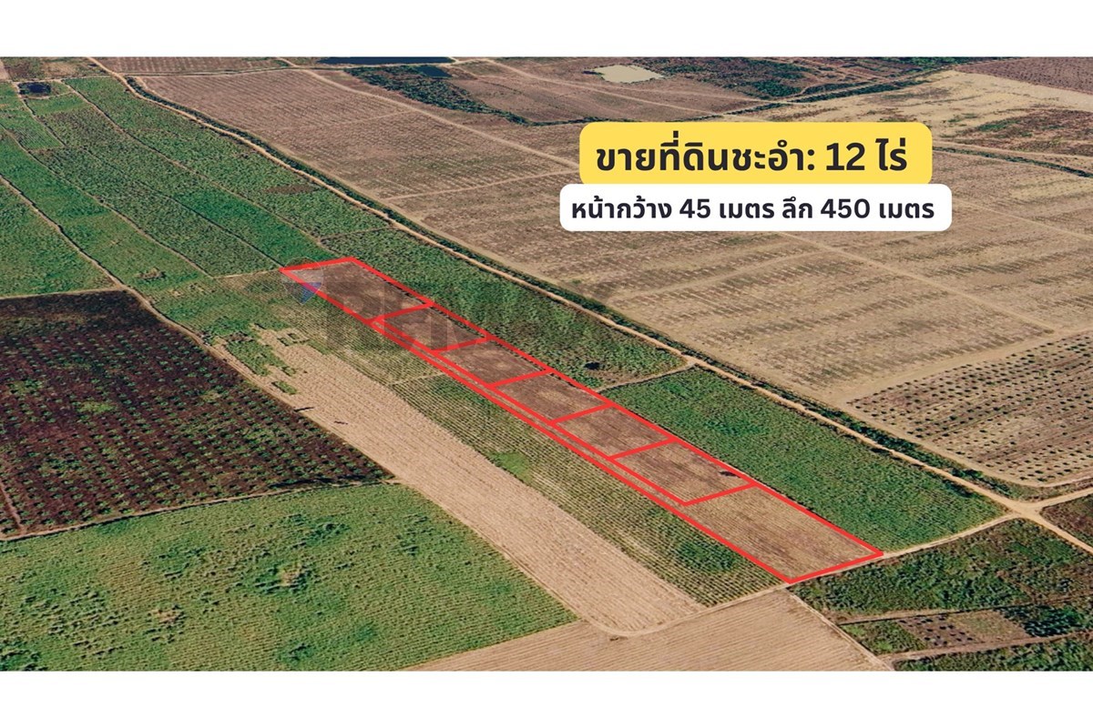 Land - Residential - For Sale - Cha-Am, Phetchaburi - 1.jpg - 920601001-1195