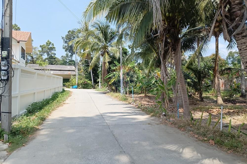 Villa - For Rent/Lease - Koh Samui, Surat Thani - 20260305_120208.jpg - 920121087-13