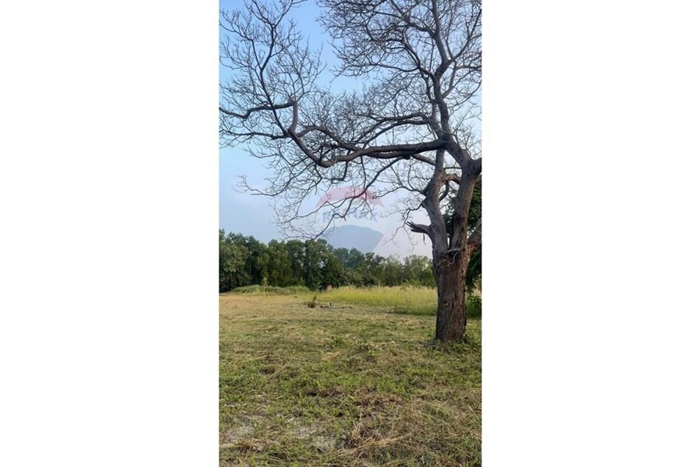 Land - Residential - For Sale - Koh Samui, Surat Thani - S__31948901_0.jpg - 920121030-292