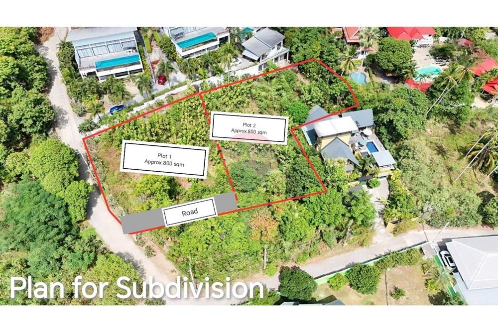 Land - Residential - For Sale - Koh Samui, Surat Thani - Plan for Subdivision.jpg - 920121075-98
