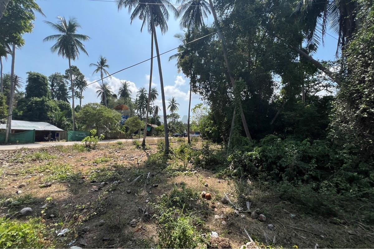 Land - Residential - For Sale - Koh Samui, Surat Thani - S__42606615_0.jpg - 920121030-309