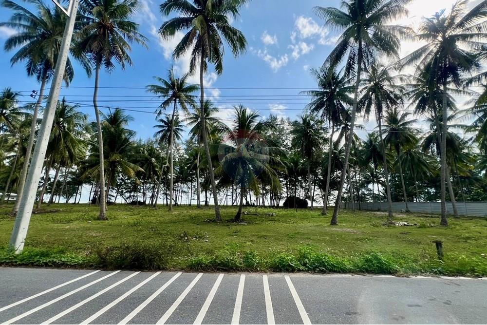 Land - Residential - For Sale - Tha Sala, Nakhon Si Thammarat - S__201138185_0.jpg - 920121030-282