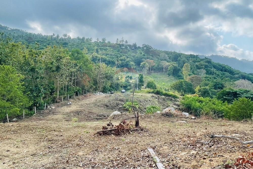 Land - Residential - For Rent/Lease - Koh Samui, Surat Thani - IMG_5795.jpeg - 920121079-45