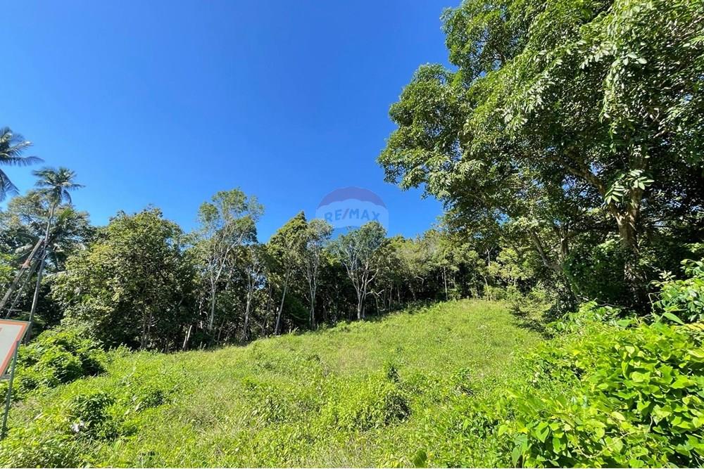 Land - Residential - For Sale - Koh Samui, Surat Thani - IMG-20251205-WA0024.jpg - 920121068-80