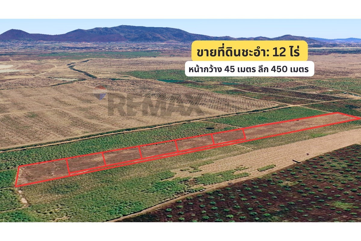 Land - Residential - For Sale - Cha-Am, Phetchaburi - 3.jpg - 920601001-1195