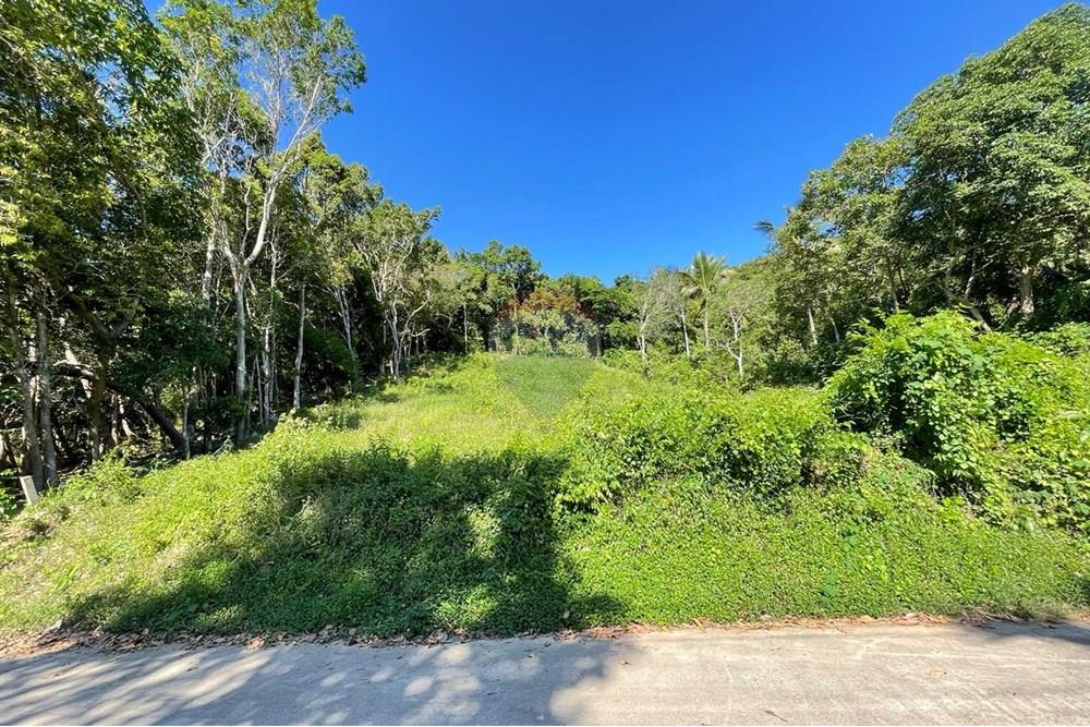 Land - Residential - For Sale - Koh Samui, Surat Thani - IMG-20251205-WA0011.jpg - 920121068-80