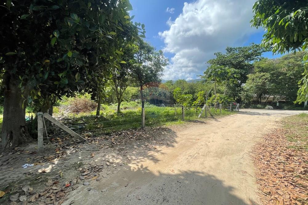 Land - Residential - For Sale - Koh Samui, Surat Thani - IMG_2054.jpeg - 920121079-10