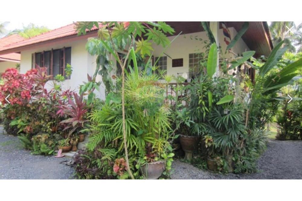 Land - Residential - For Sale - Koh Samui, Surat Thani - IMG_8950.JPG - 920121088-11