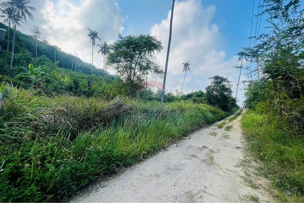 Land - Residential - For Rent/Lease - Koh Samui, Surat Thani - IMG_7066.jpeg - 920121079-50