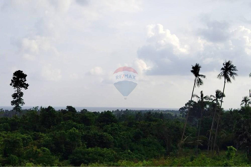 Land - Residential - For Sale - Koh Samui, Surat Thani - 642211_0.jpg - 920121075-97