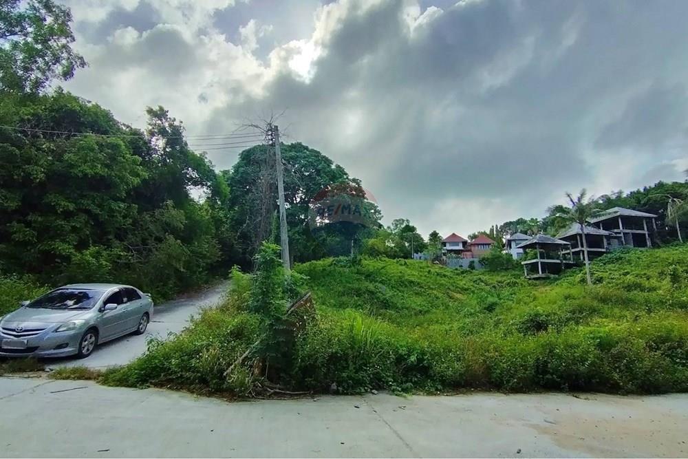Land - Residential - For Sale - Koh Samui, Surat Thani - 640454_0.jpg - 920121075-95