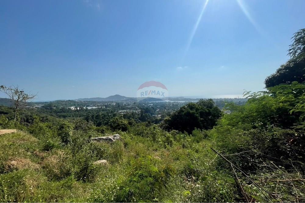 Land - Residential - For Sale - Koh Samui, Surat Thani - IMG_6353.jpeg - 920121079-48