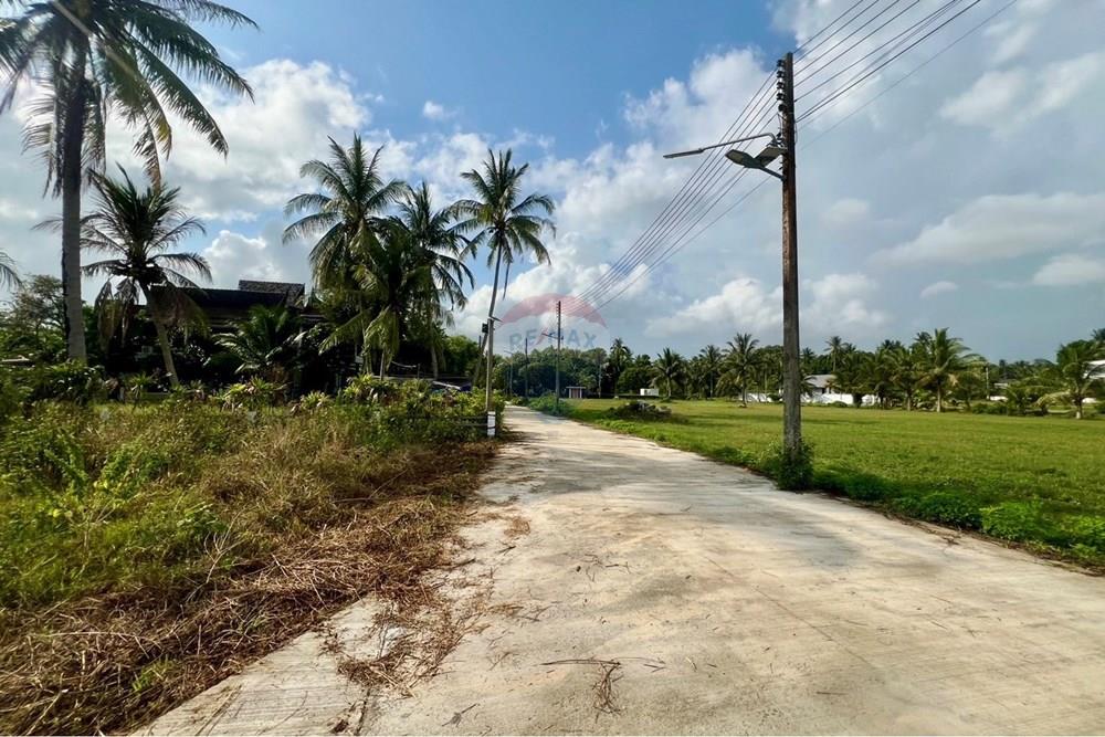 Land - Residential - For Sale - Tha Sala, Nakhon Si Thammarat - S__207192077_0.jpg - 920121030-299