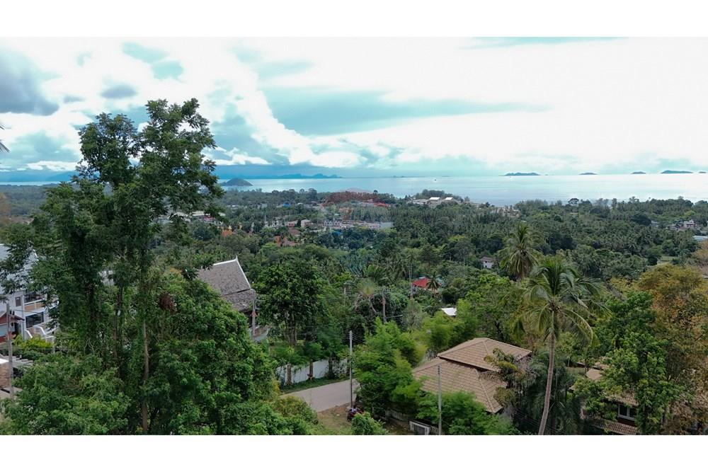 Land - Residential - For Sale - Koh Samui, Surat Thani - Copy of DJI_20251012135602_0031_D.jpg - 920121075-100