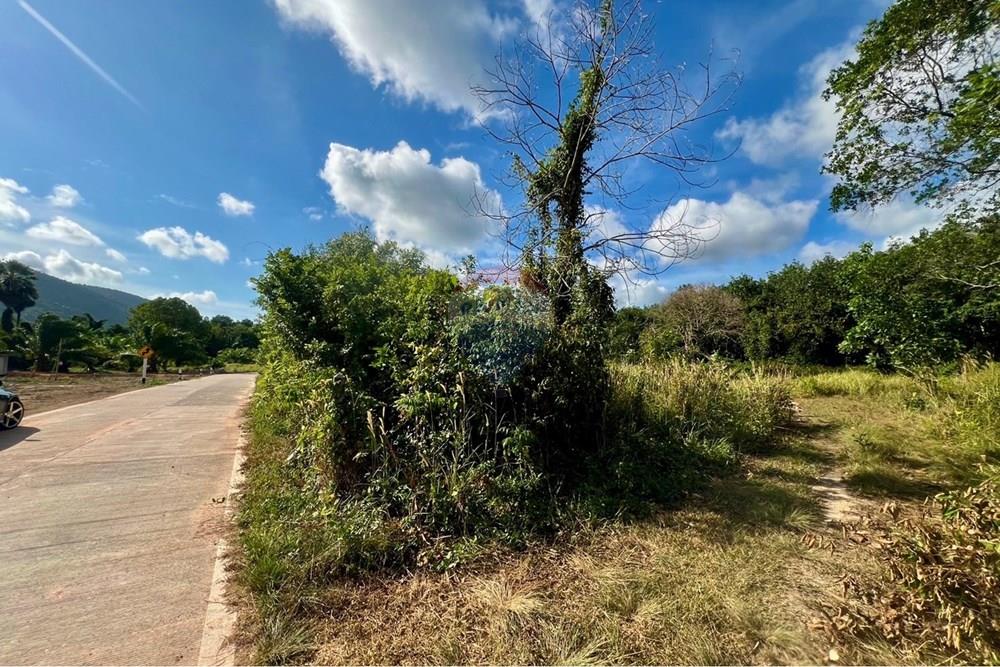 Land - Residential - For Sale - Koh Samui, Surat Thani - S__206618639_0.jpg - 920121030-298
