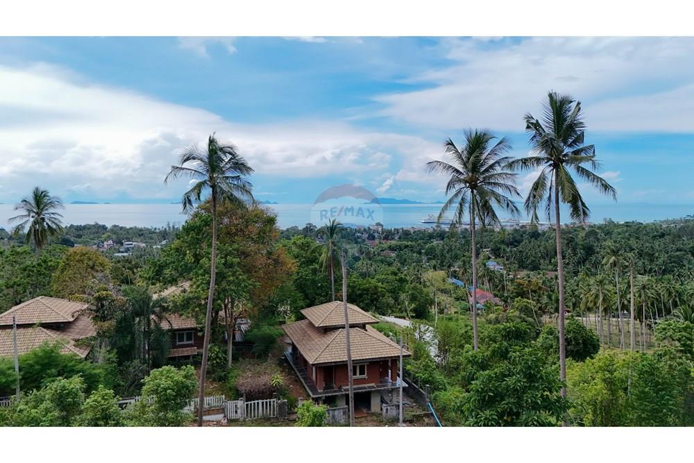 Land - Residential - For Sale - Koh Samui, Surat Thani - Copy of DJI_20251012135432_0020_D.jpg - 920121075-100