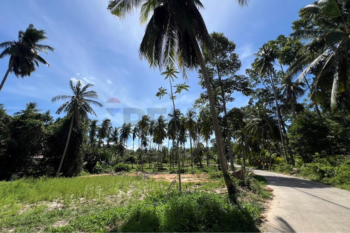 Land - Residential - For Sale - Koh Samui, Surat Thani - S__42434576_0.jpg - 920121030-308