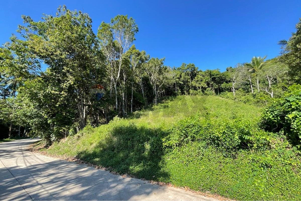Land - Residential - For Sale - Koh Samui, Surat Thani - IMG-20251205-WA0016.jpg - 920121068-102