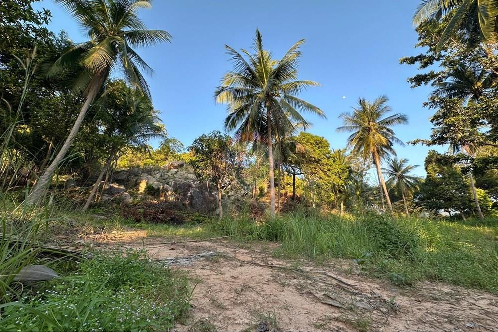 土地 - 出售 - Koh Pha Ngan, Surat Thani - WhatsApp Image 2026-03-13 at 12.00.00.jpeg - 920621004-171