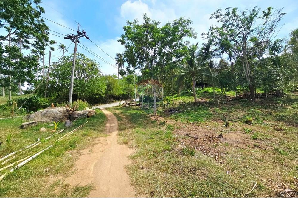 Land - Residential - For Sale - Koh Samui, Surat Thani - 545249917_10222887926386476_8673220705170797647_n.jpg - 920121018-328