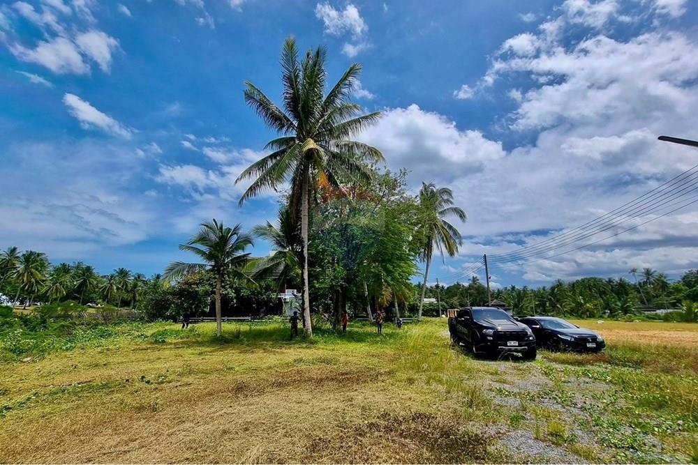 Land - Residential - For Sale - Tha Sala, Nakhon Si Thammarat - S__207192072_0.jpg - 920121030-299