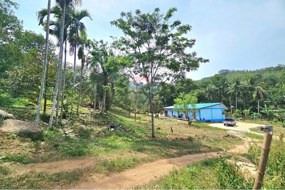 Land - Residential - For Sale - Koh Samui, Surat Thani - 545517230_10222887920146320_1732601537290890484_n.jpg - 920121018-328