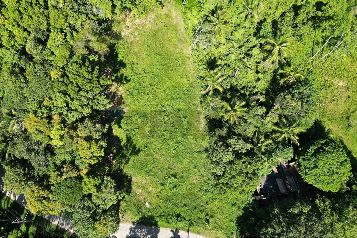 Land - Residential - For Sale - Koh Samui, Surat Thani - IMG-20251205-WA0008.jpg - 920121068-102