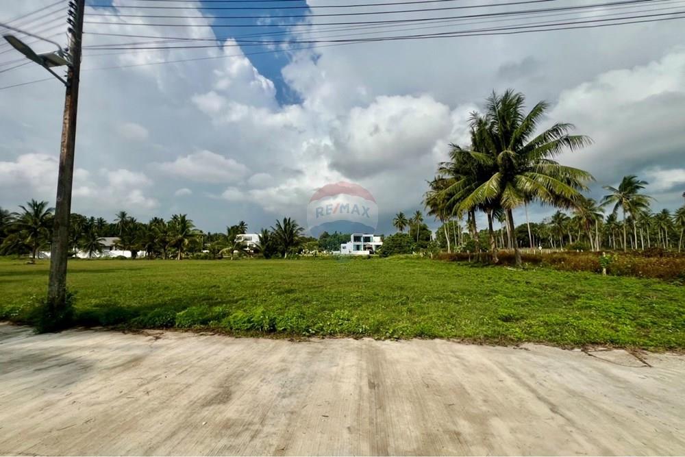 Land - Residential - For Sale - Tha Sala, Nakhon Si Thammarat - S__207192074_0.jpg - 920121030-299