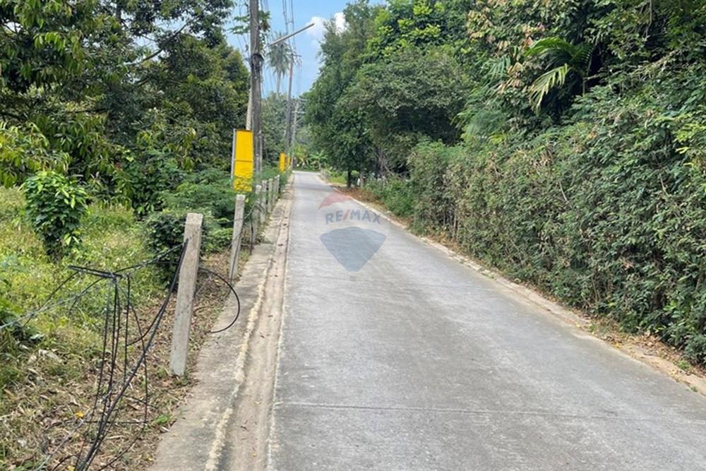 Land - Residential - For Sale - Koh Samui, Surat Thani - IMG_3250.jpeg - 920121079-31