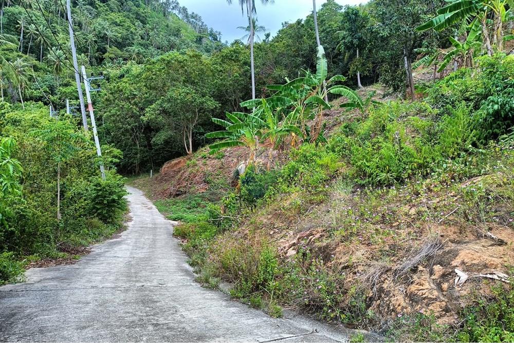 Land - Residential - For Sale - Koh Samui, Surat Thani - WhatsApp Image 2025-09-30 at 15.47.16_cf8fb4e9.jpg - 920121083-64