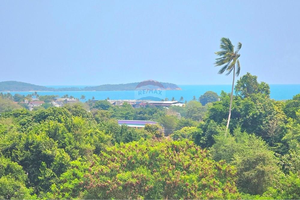 Land - Residential - For Sale - Koh Samui, Surat Thani - 014.jpg - 920121018-329