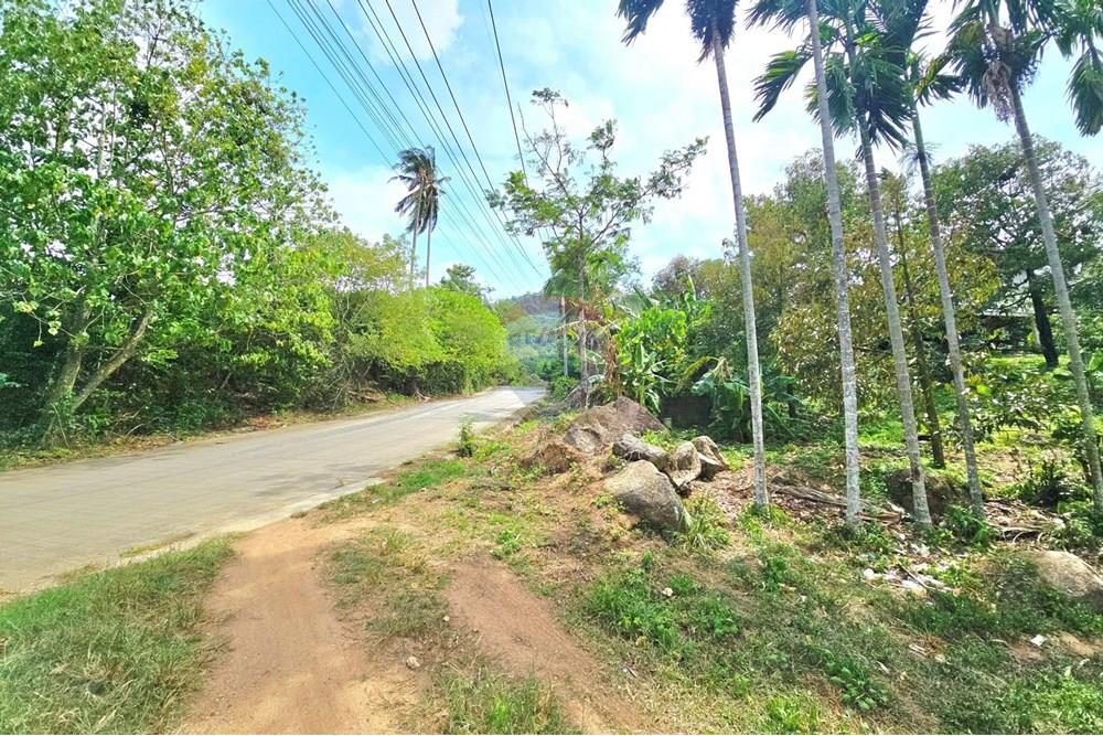 Land - Residential - For Sale - Koh Samui, Surat Thani - 003.jpg - 920121018-328