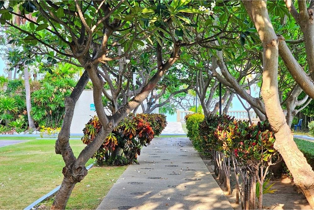 Condo/Apartment - For Sale - Hua Hin, Prachuap Khiri Khan - 20240515_170236.jpg - 920601001-1300