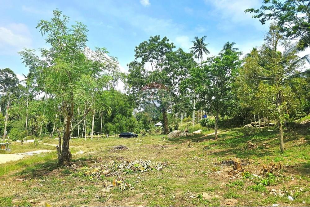 Land - Residential - For Sale - Koh Samui, Surat Thani - 545442827_10222887928786536_2597491394556562597_n.jpg - 920121018-328