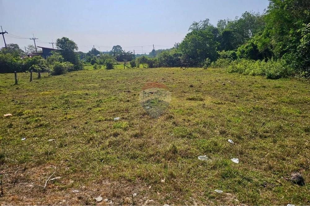 Land - Residential - For Sale - Tha Sala, Nakhon Si Thammarat - S__209100804_0.jpg - 920121030-302
