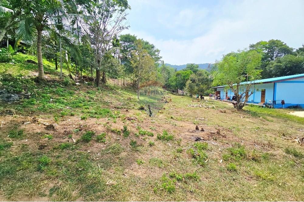 Land - Residential - For Sale - Koh Samui, Surat Thani - 545221880_10222887922786386_1034943461648063828_n.jpg - 920121018-328
