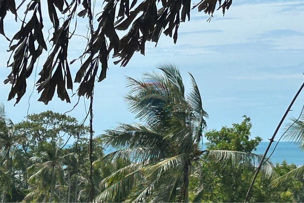 Land - Residential - For Sale - Koh Samui, Surat Thani - S__27320346_0.jpg - 920121075-97
