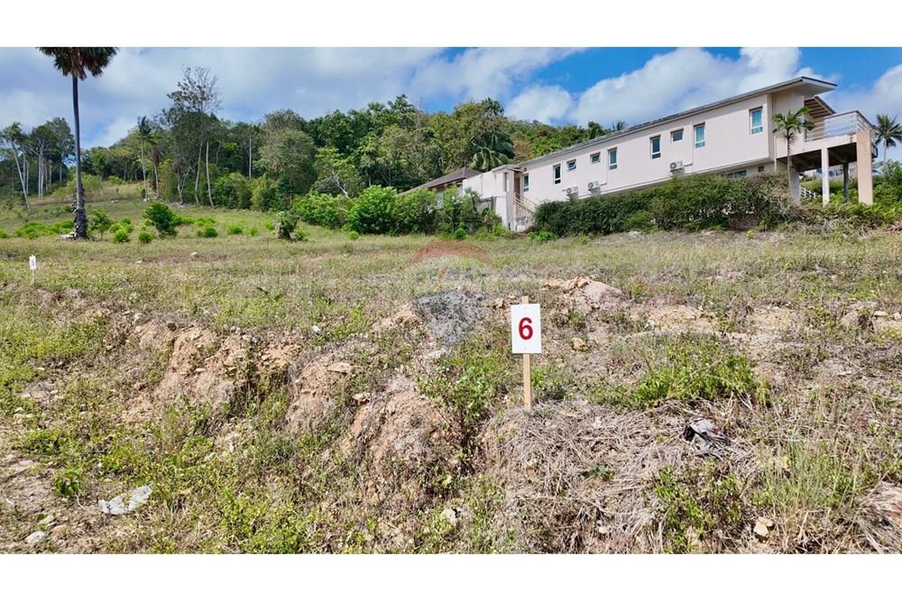 Land - Residential - For Sale - Koh Samui, Surat Thani - Plot 6.jpg - 920121001-3514