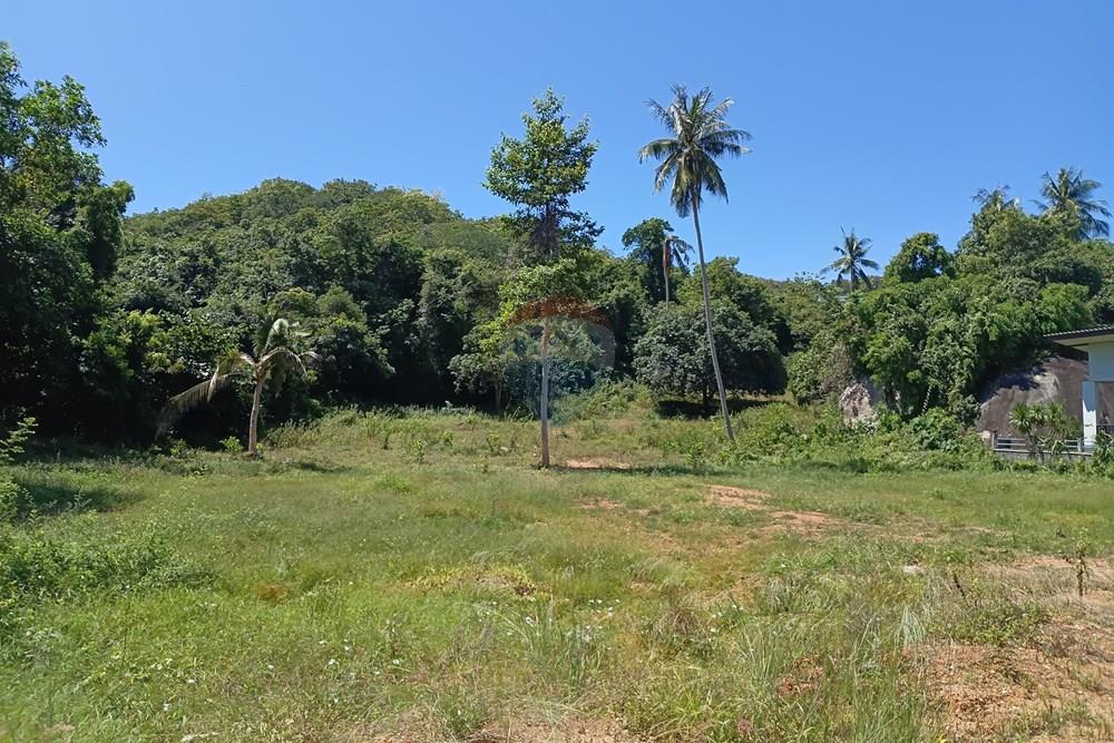 Land - Residential - For Sale - Koh Samui, Surat Thani - 20260228_111816.jpg - 920121087-11
