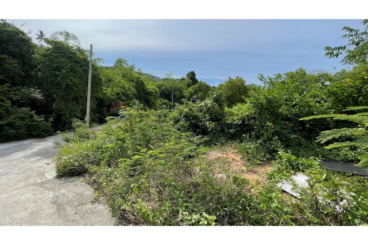 Land - Residential - For Sale - Koh Samui, Surat Thani - IMG_4726.jpeg - 920121068-103
