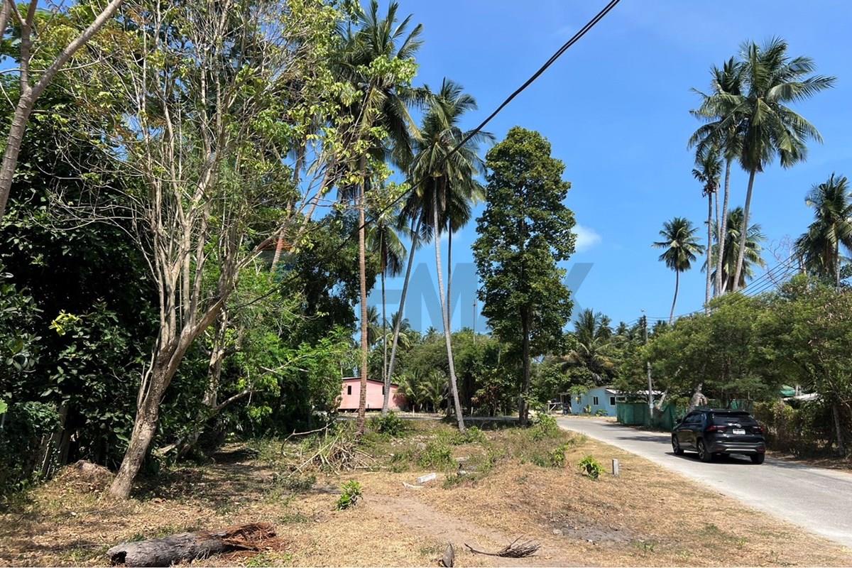 Land - Residential - For Sale - Koh Samui, Surat Thani - S__42606612_0.jpg - 920121030-309